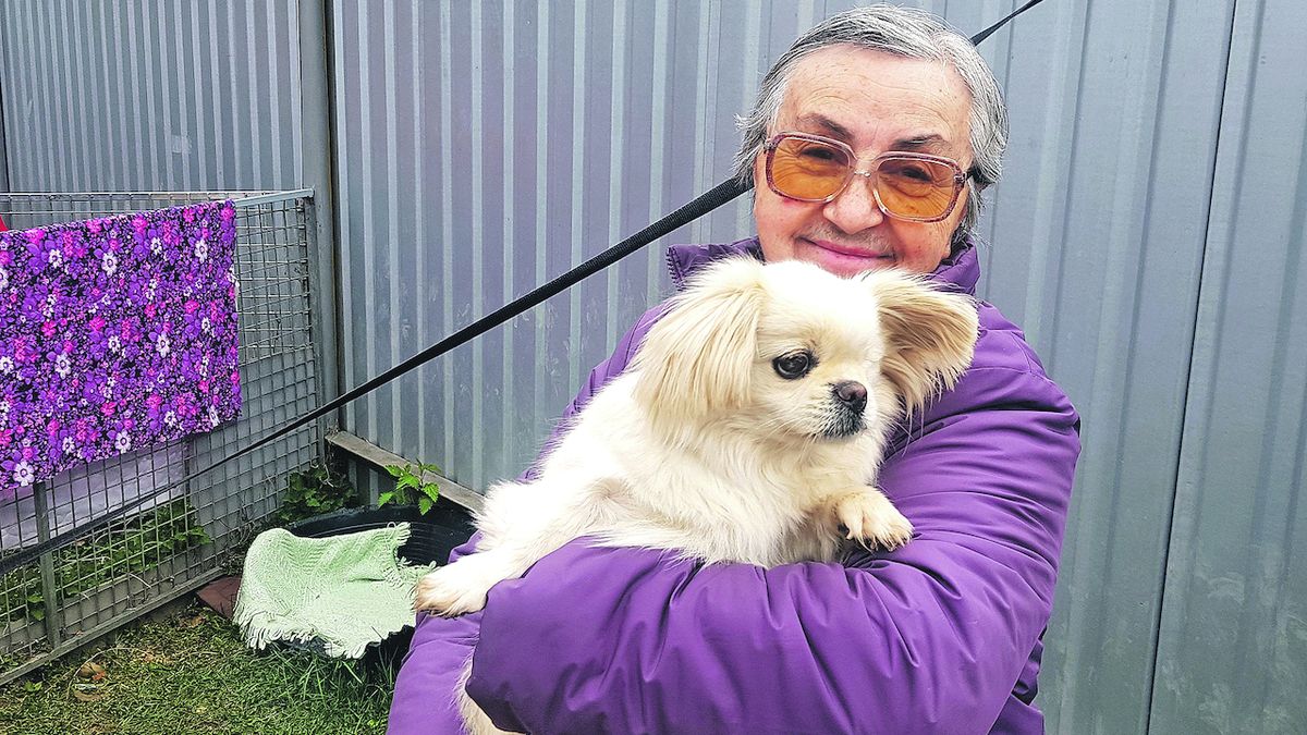 Ljuba prchla z Kyjeva, v Plzni se stará o psy z Ukrajiny
